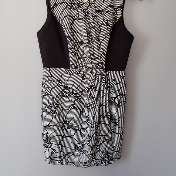 The Limited Dress - Picture 2 of 5